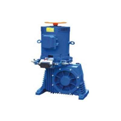 AC220V Bremsschrittmaschine Antrieb E-Antrieb Momentum und GlideStream Antrieb