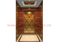 500mm Pit Depth Residential Home Elevators Luxuslandhaus-Aufzugs-Aufzug
