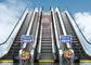 Handelsdumbwaiter-Aufzugs-Einkaufsauto-Hochgeschwindigkeitsaufzugs-Last 450 - 1600kg