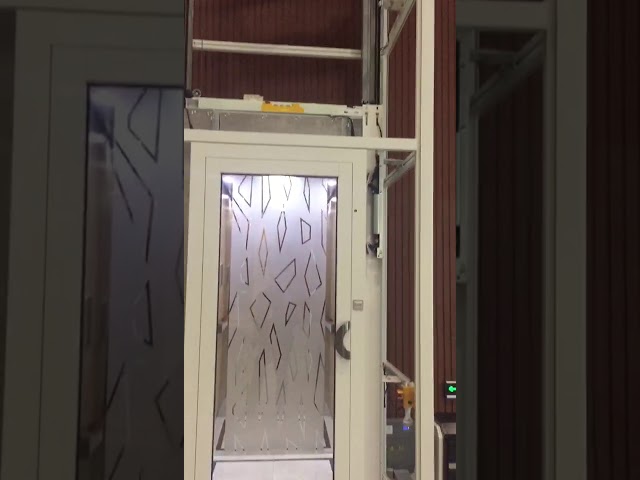 hydraulische Mini Residential Elevator Center Opening Tür 300kg für Haus