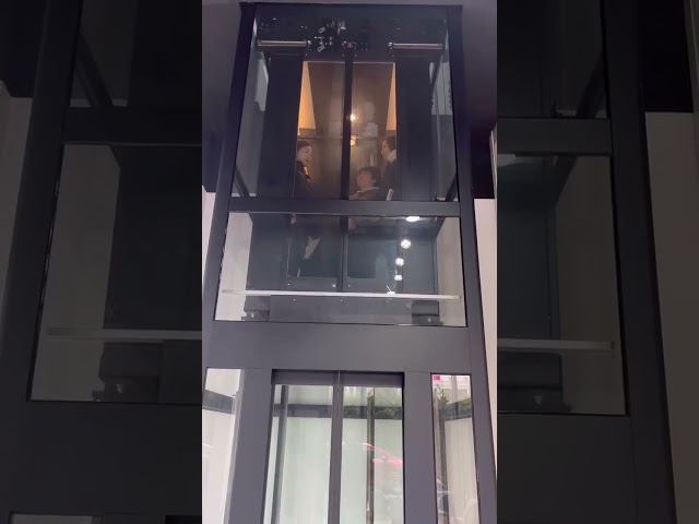 Wohnheim-Aufzüge des Passagier Vvvf-Landhaus-Hotel-450kg mit Verlangsamungs-Gerät