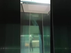 Passagier persönliche Villa Aufzüge 3. Etage Außen-Innen-Aufzug